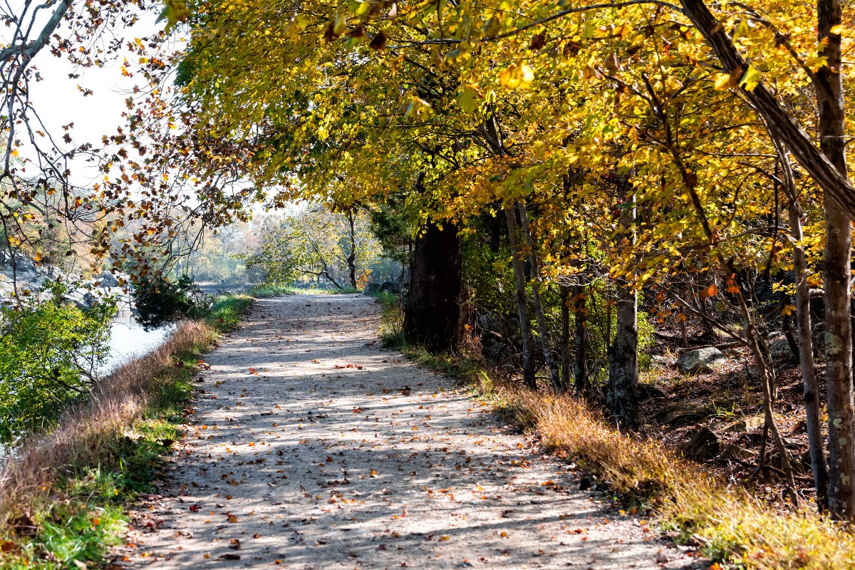 Scenic walking trail with autumn foliage and trees along a peaceful waterfront path in coastal virginia.